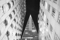 P1020300_1